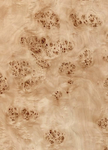 Mappa Burl Wood