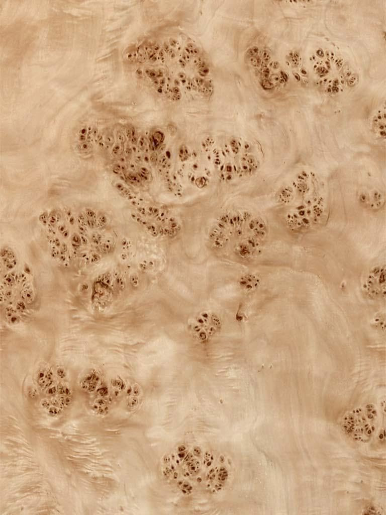 Mappa Burl Wood
