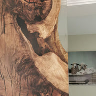 The Hackberry Flow Door/ Wall Panel | Hackberry Wood Wall Panel Dubai | Uae