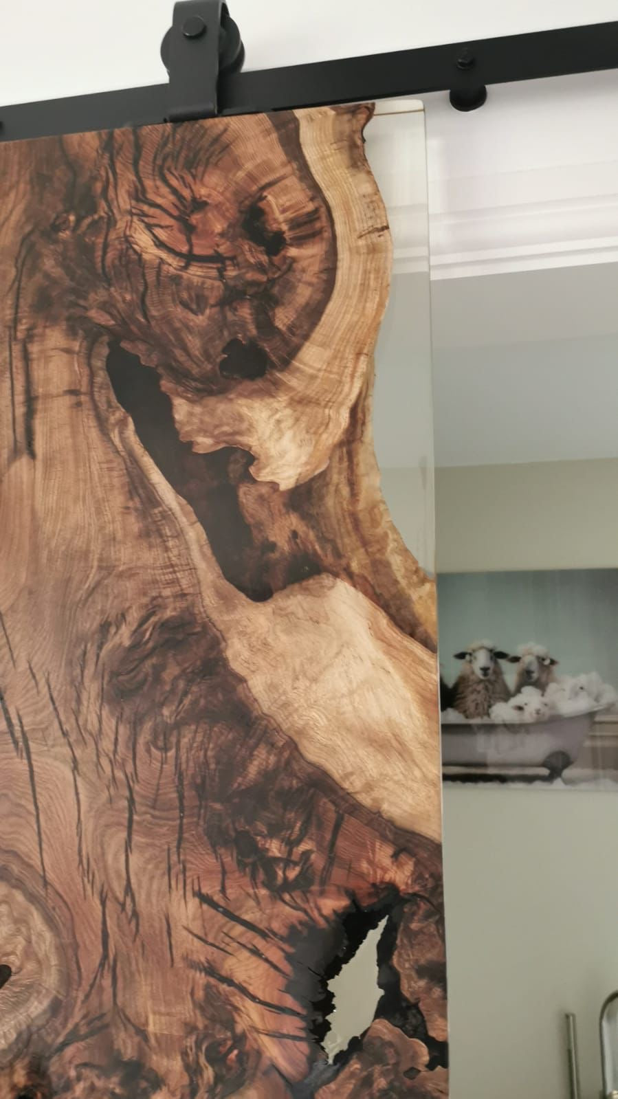 The Hackberry Flow Door/ Wall Panel | Hackberry Wood Wall Panel Dubai | Uae