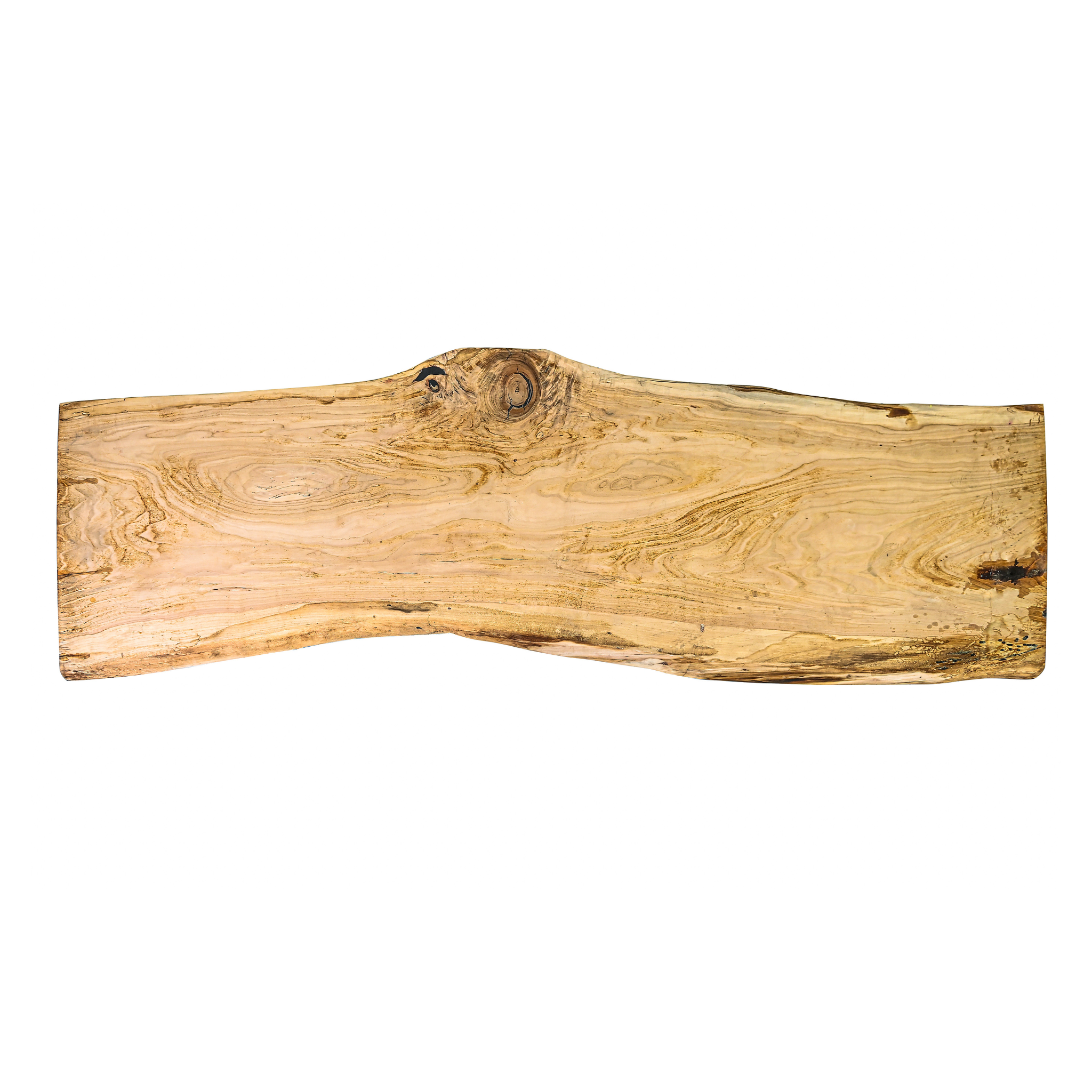 The Timeless Oak