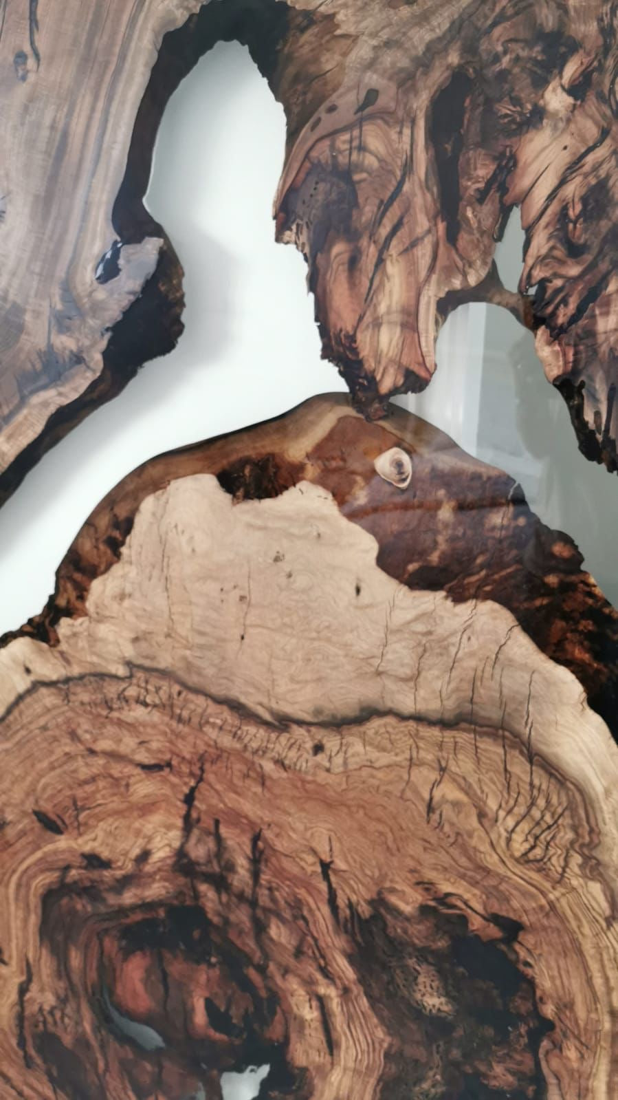 The Hackberry Flow Door/ Wall Panel | Hackberry Wood Wall Panel Dubai | Uae