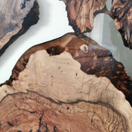 The Hackberry Flow Door/ Wall Panel | Hackberry Wood Wall Panel Dubai | Uae