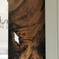 The Hackberry Flow Door/ Wall Panel | Hackberry Wood Wall Panel Dubai | Uae