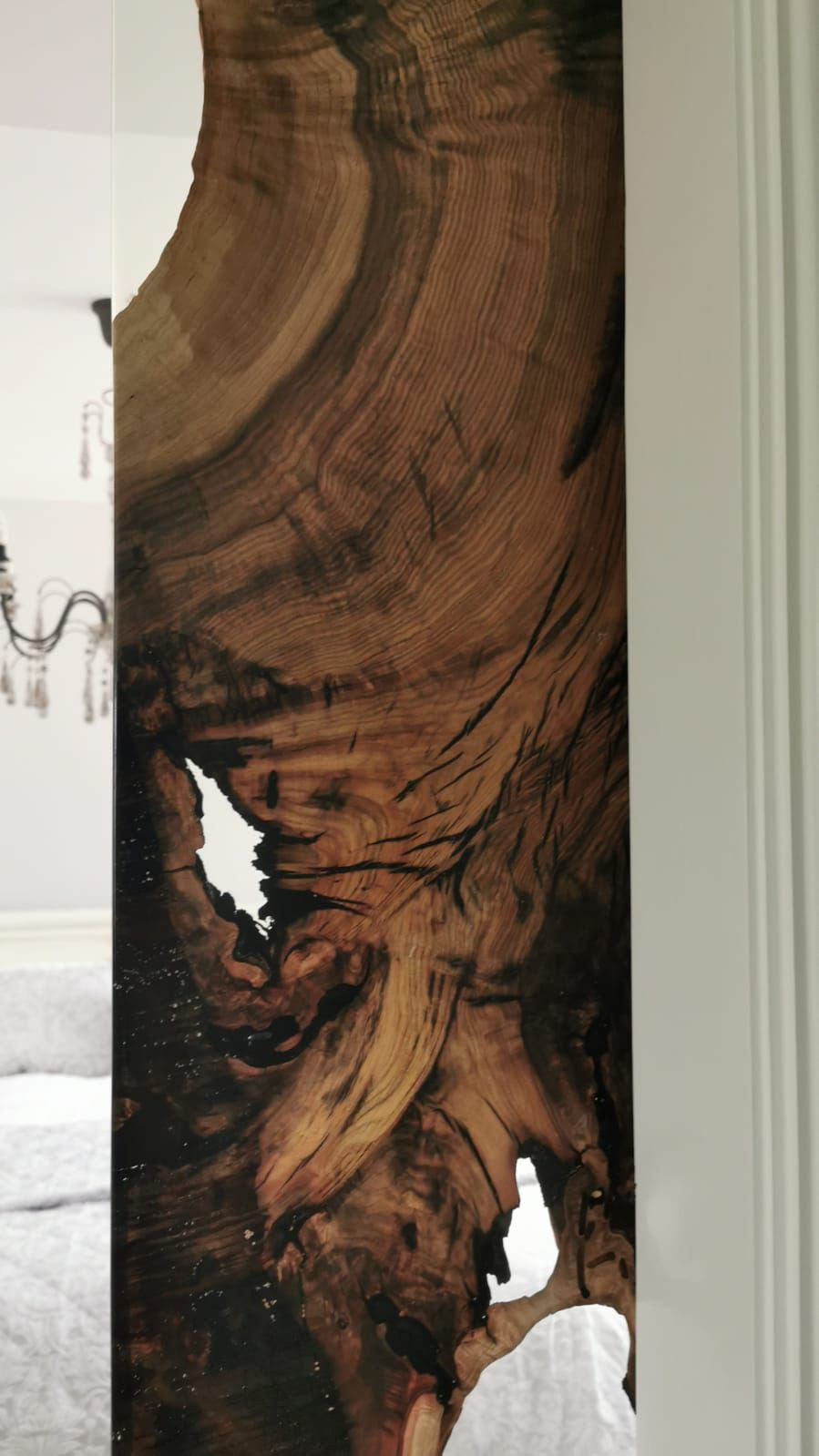 The Hackberry Flow Door/ Wall Panel | Hackberry Wood Wall Panel Dubai | Uae