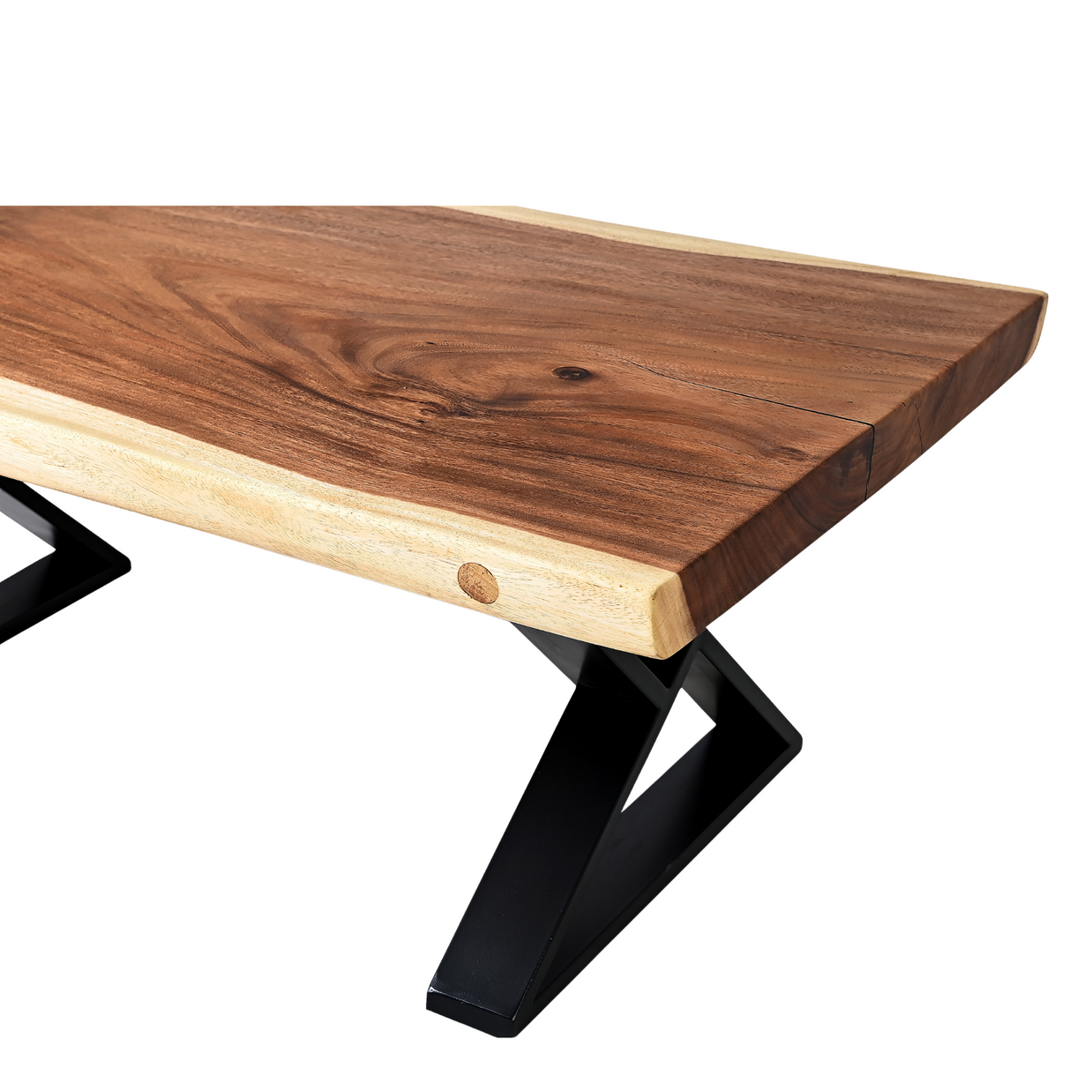 The Suar Symphony (Coffee Table)