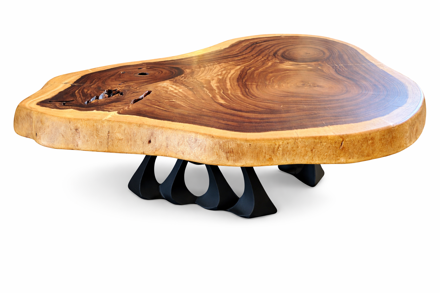 The Suar Symphony Halo Curve | Monkeypod Wood Coffee Table Dubai | Uae
