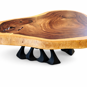 The Suar Symphony Halo Curve | Monkeypod Wood Coffee Table Dubai | Uae