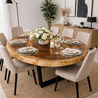The Suar Symphony Halo Curve | Monkeypod Wood Coffee Table Dubai | Uae