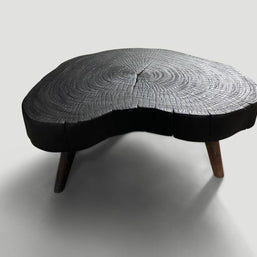 Black Burnt Halo Curve | Burnt Wood Epoxy Coffee Table Dubai | Uae